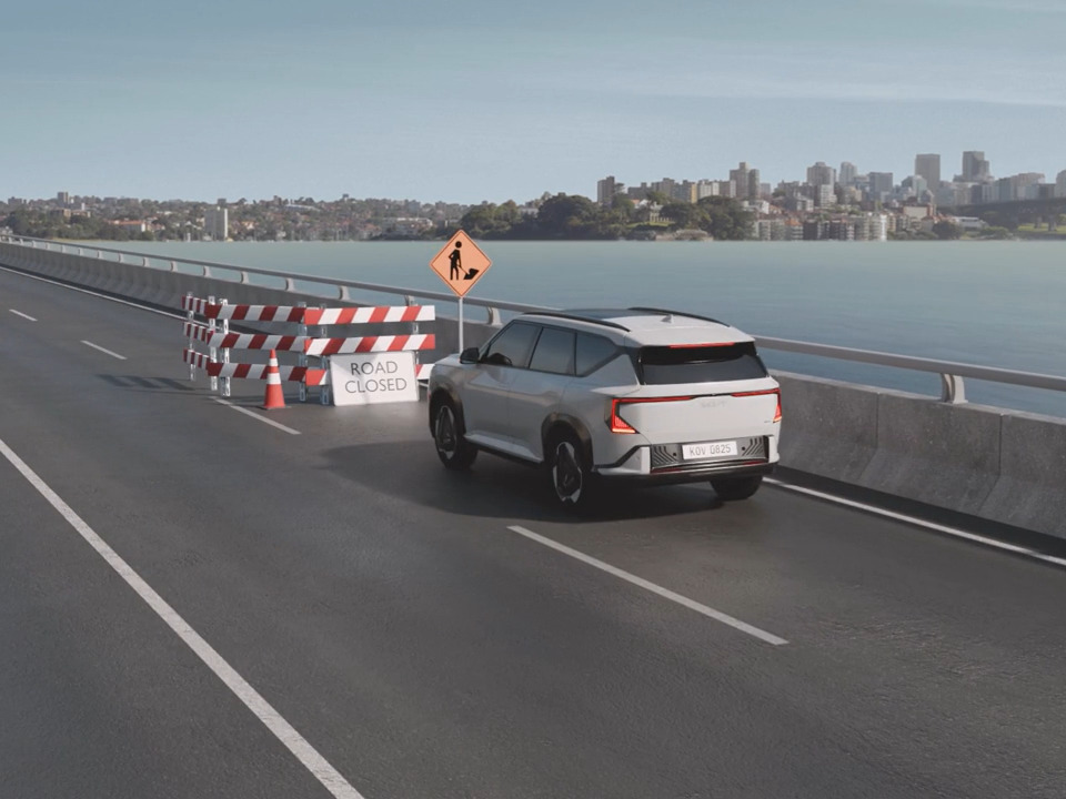 Autonomous Emergency Braking (AEB)*