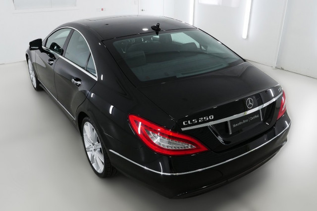 2013 Mercedes-Benz Cls-class CLS250 CDI 19 of 26