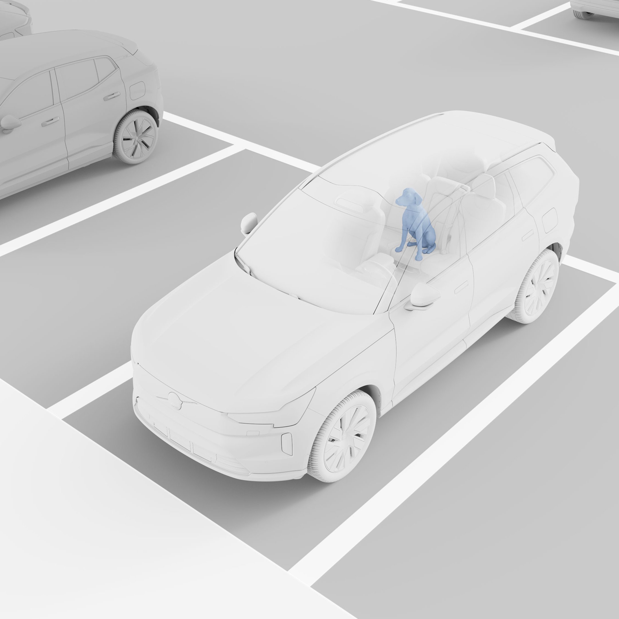 Occupant Sensing Image