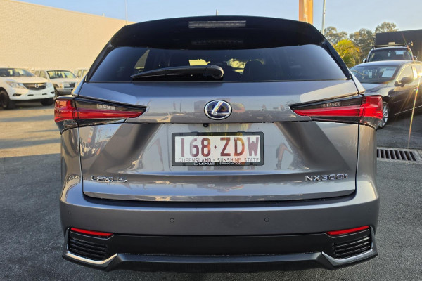 2019 Lexus NX AYZ10R NX300h Luxury SUV Image 8