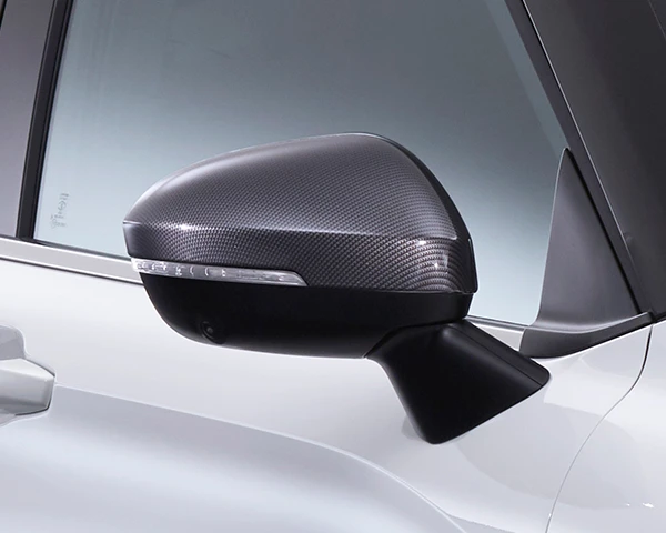 Mirror Cover, Carbon