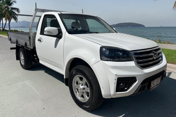 2021 GWM Steed K2 Cab Chassis Image 1