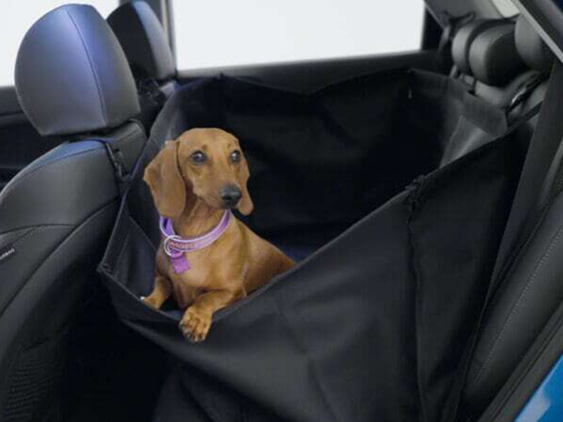 Rear seat pet cover.