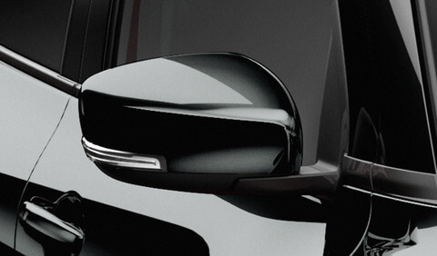 Black Side Mirrors