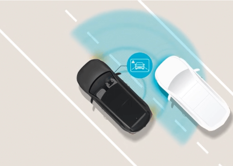 Blind-Spot View Monitor (BVM) Image