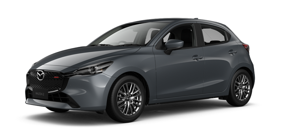 Polymetal Grey Metallic
