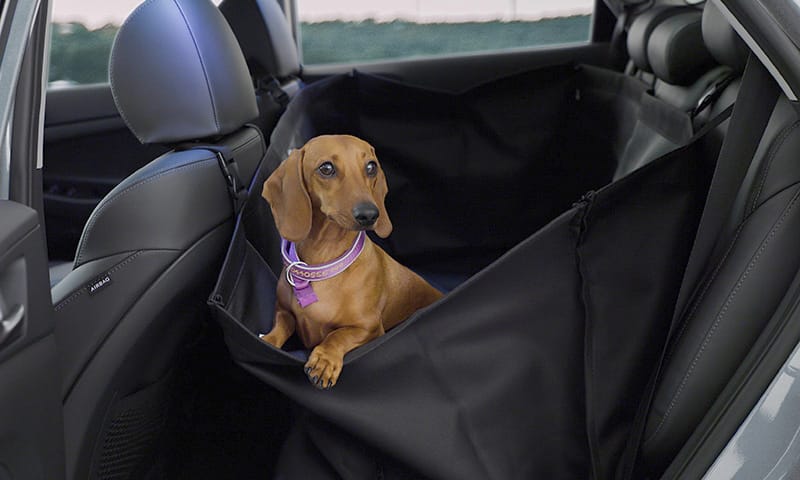 Rear Seat Pet Cover 