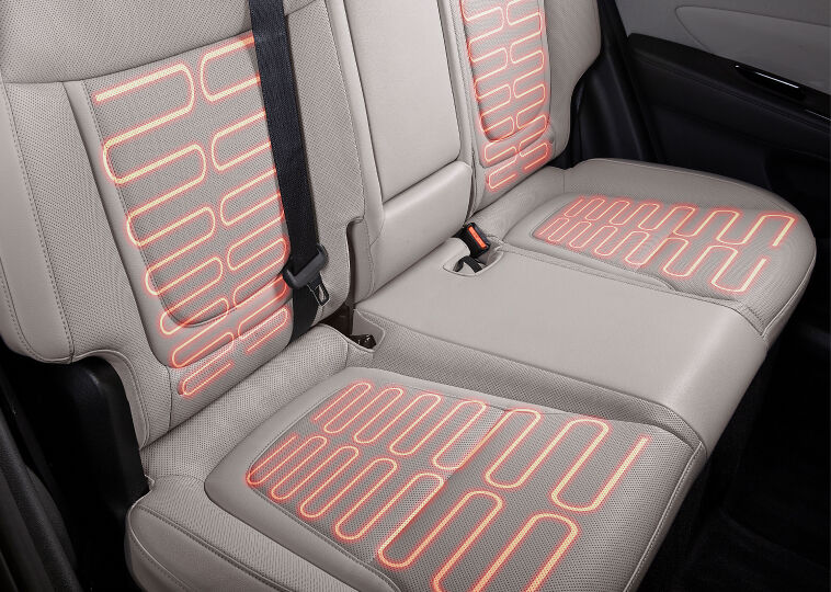 Temperature-controlled seats Image