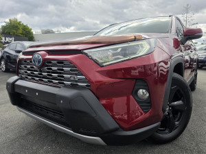 2019 Toyota RAV4 AXAH52R Cruiser SUV