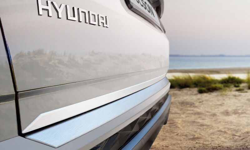 Tailgate trim line - brushed alloy
