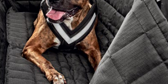 Rear passenger seat protection