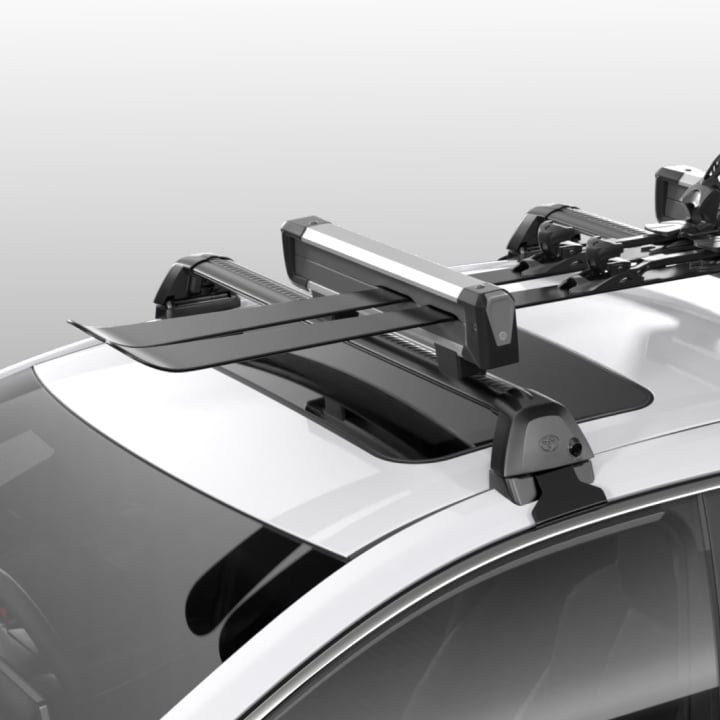 Ski Carrier[P4] Image
