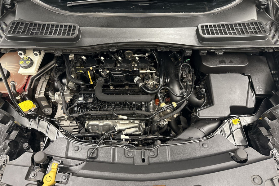 2019 MY19.75 Ford Escape ZG Trend SUV Image 11