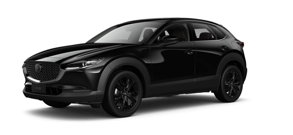 Jet Black Mica