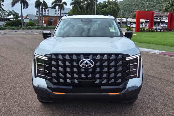 2025 LDV Terron 9 EKK1C Evolve Ute Image 17