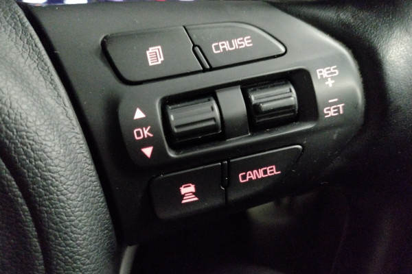 2015 MY16 Kia Carnival YP Platinum People Mover