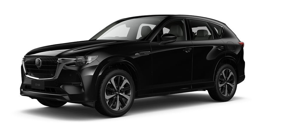 Jet Black Mica