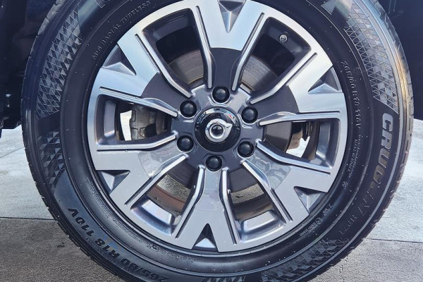 2022 GWM Ute NPW Cannon-X Ute Image 22