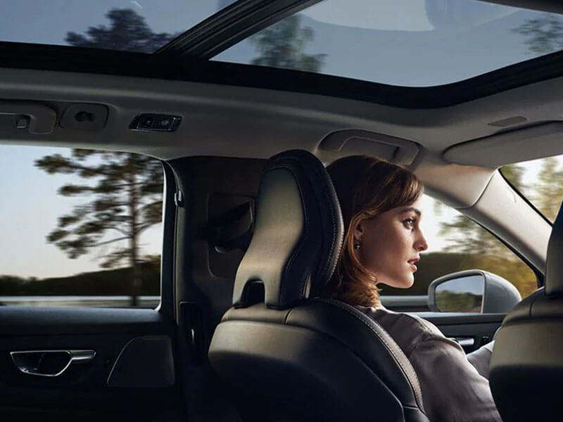 Your window to the sky Image