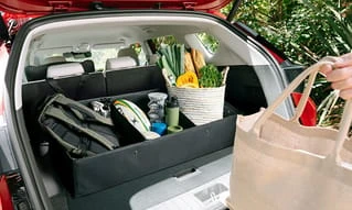 Luxury cargo organiser