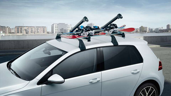 Ski and snowboard carrier