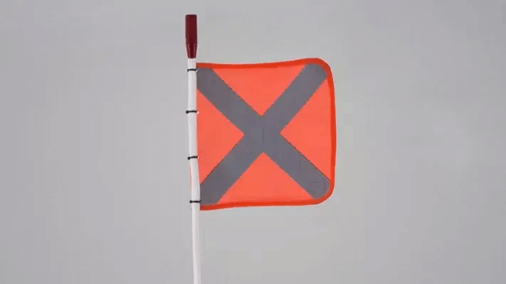 Illuminated Flag