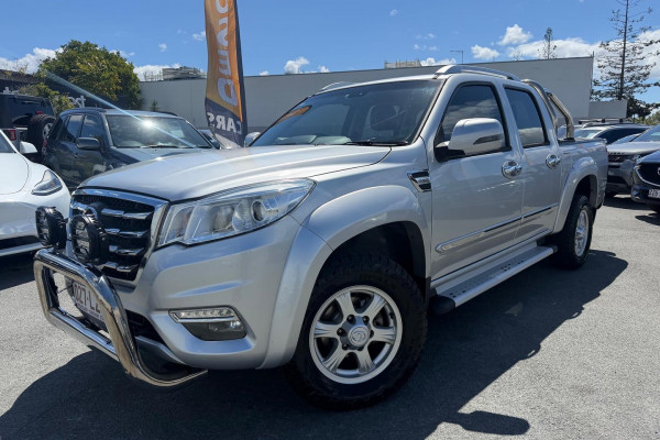 2020 Great Wall Steed NBP  Ute Image 1