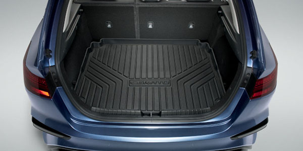 Moulded Cargo Liner (Hatch)