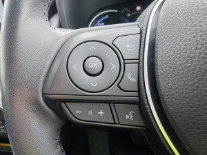 2019 Toyota RAV4 AXAH52R Cruiser SUV
