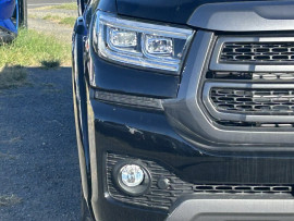 2025 GWM Cannon NPW Lux Ute image 10