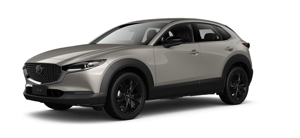 Platinum Quartz Metallic