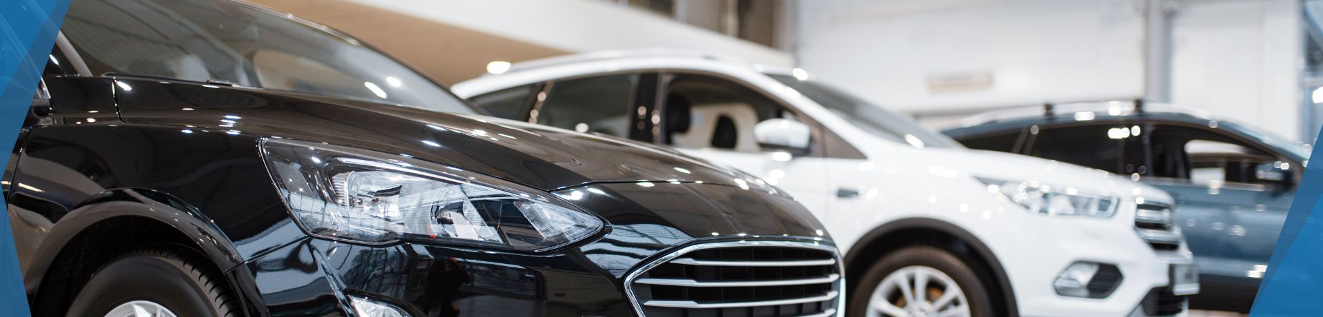 Business & Fleet