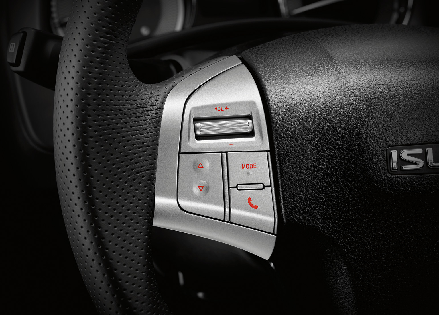 Steering Wheel Controls Image