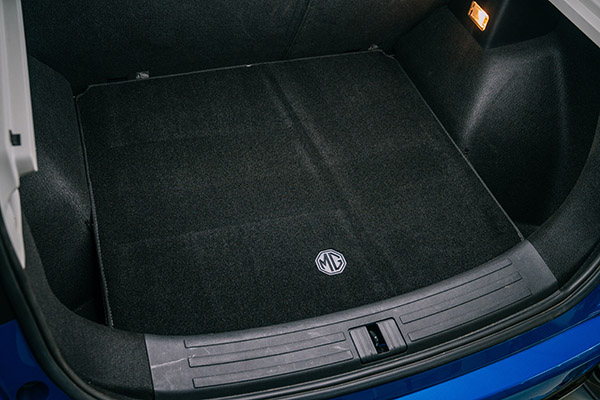 Boot Mat (Carpet)