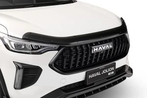 Bonnet Protector - Tinted
