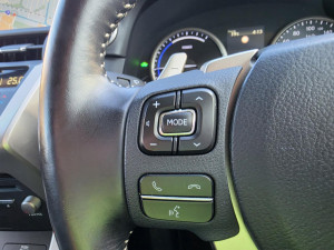 2019 Lexus NX AYZ10R NX300h Luxury SUV