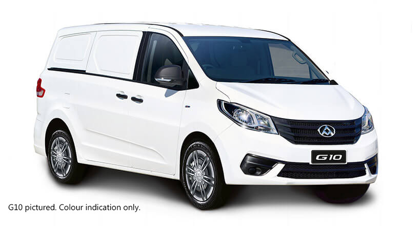 2025 LDV G10 SV7C + Van