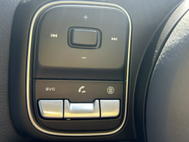 2025 GWM Cannon NPW Lux Ute image 24