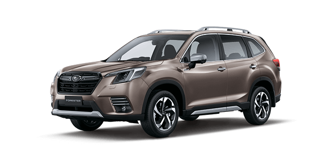 Brilliant Bronze Metallic