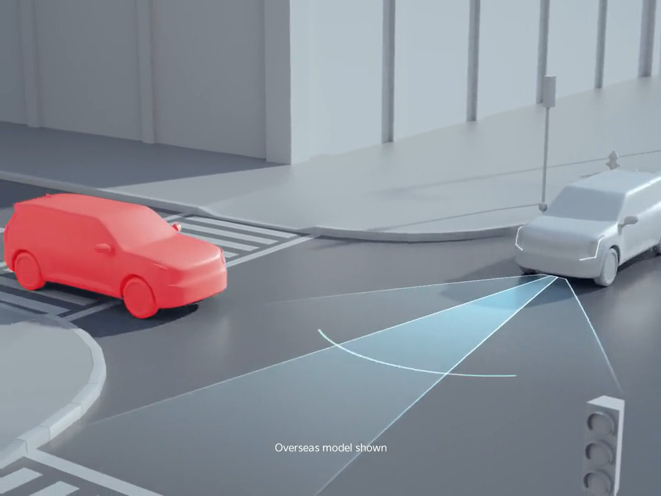 Autonomous Emergency Braking (AEB)*