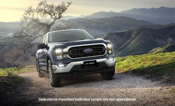 3.5L EcoBoost V6 Image