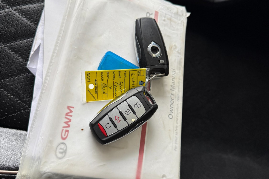 2022 GWM Cannon NPW Cannon-X Ute Image 21