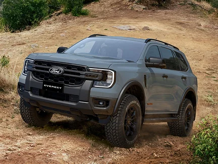 Rugged good looks Image