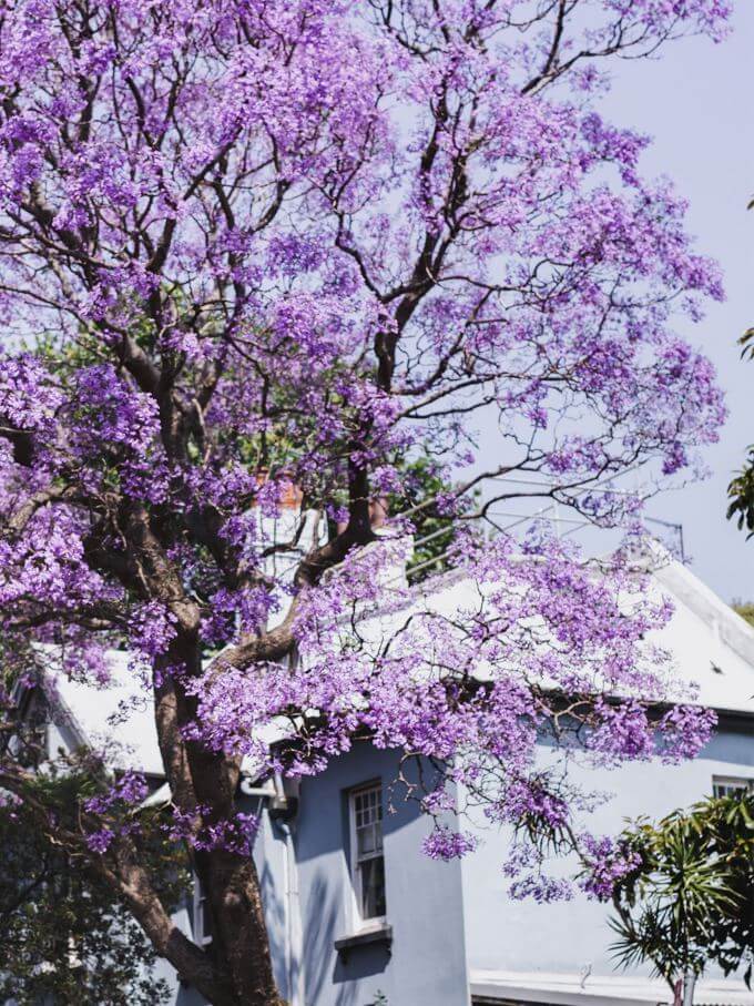 Golf GTI Gallery Image 2