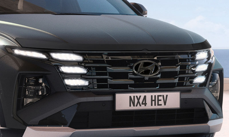 Bonnet protector - dark tint