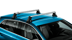 Carrier unit, for vehicles without roof rails
