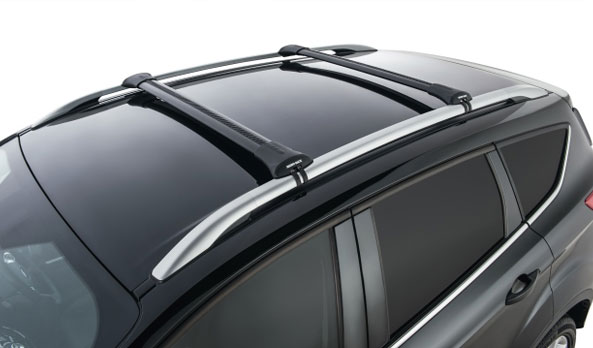 <img src="Carry Bars - Rhino-Rack Stealth - Black - FLA