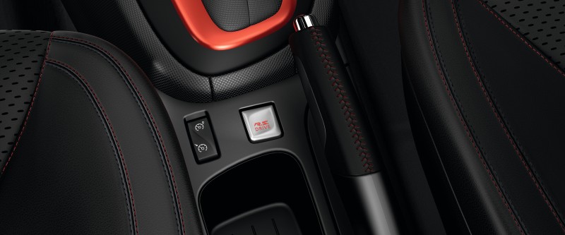 Clio R.S. R.S. Drive