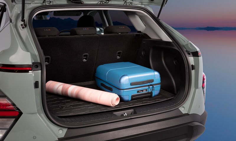 Cargo liner tray