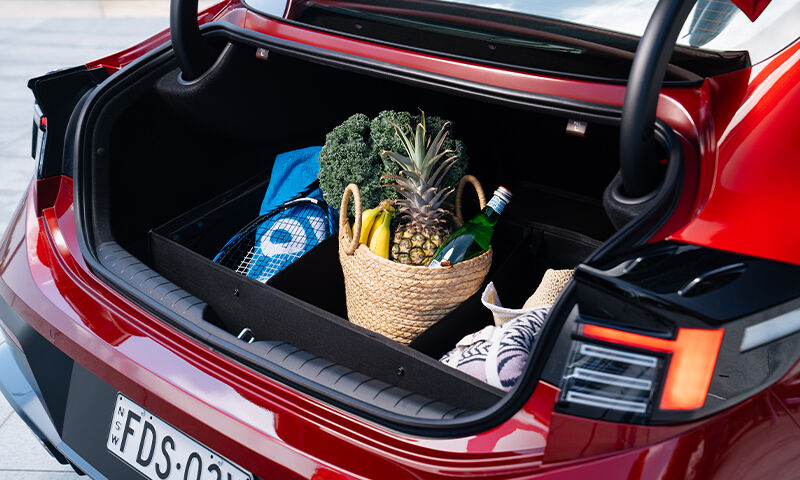 Luxury cargo organiser